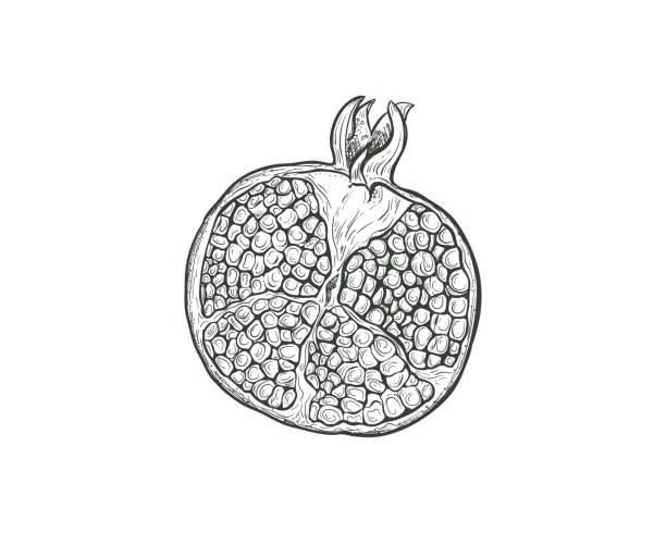 Online coloring book: Pomegranate antistress coloring page